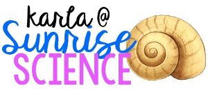 Sunrise Science Signature Nautilus Shell