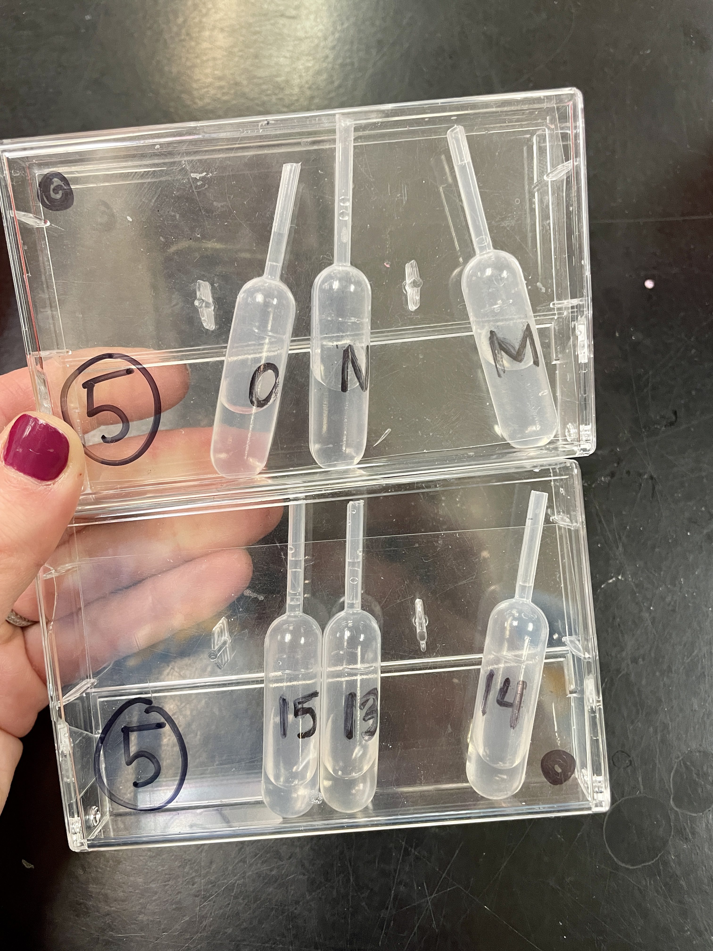 Mystery Solutions Puzzle Activity Lab Set Up for Middle School Science Teachers