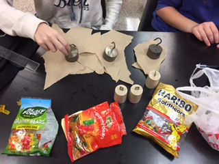 testing the properties of different brands of gummy bears