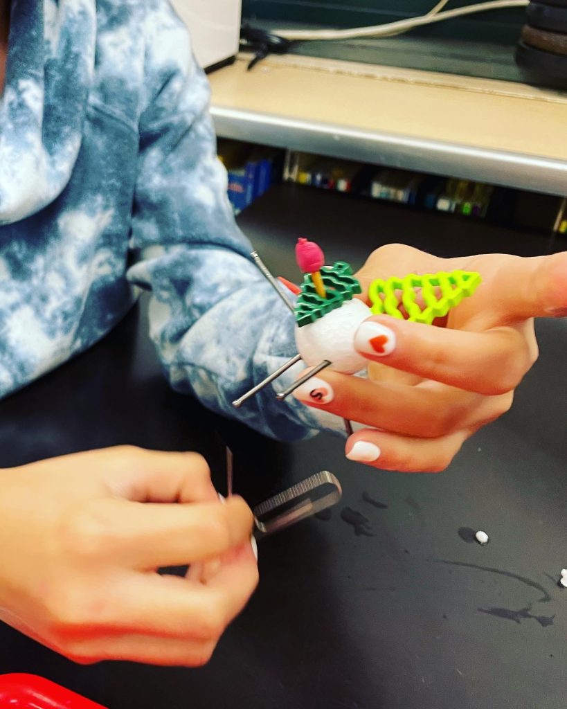 Student working on the Flinking lab