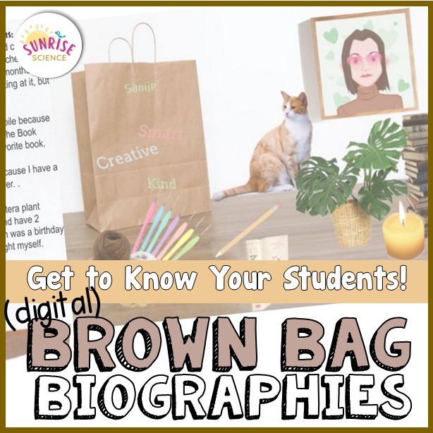 brown bag biography getting to know you activity for middle school