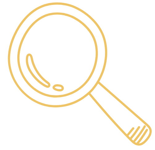 search search