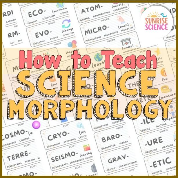 how to teach science morphology word wall cards